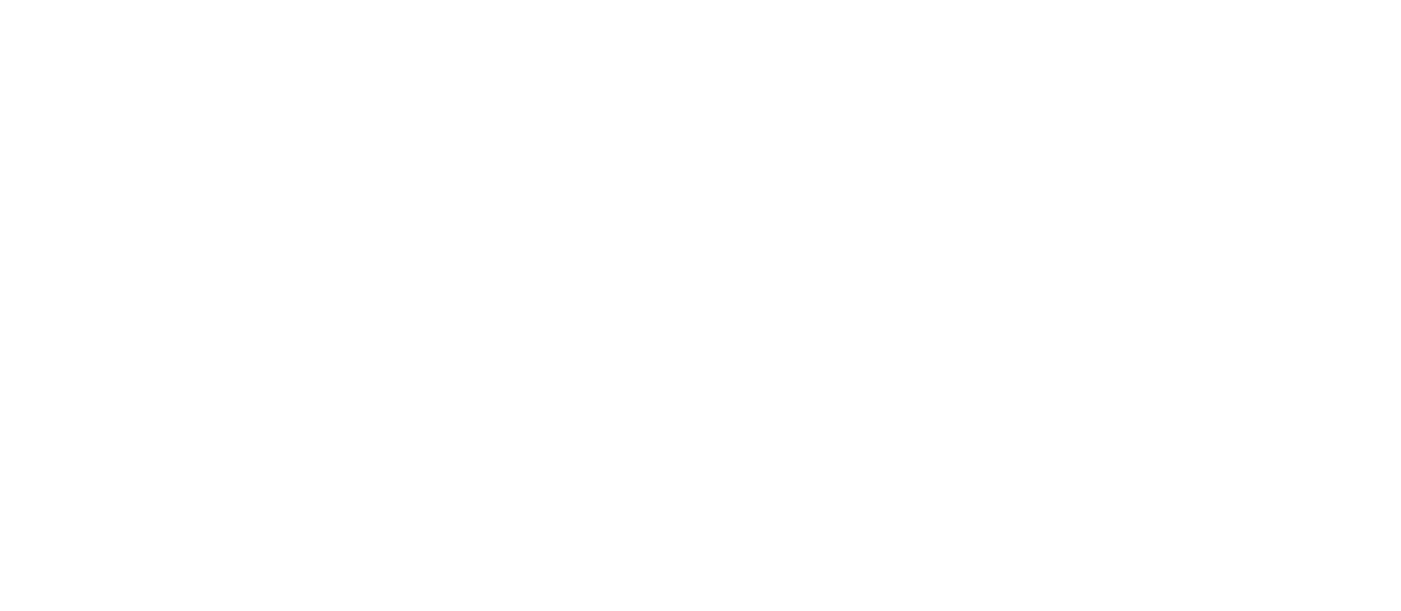 OUR STRENGTHS